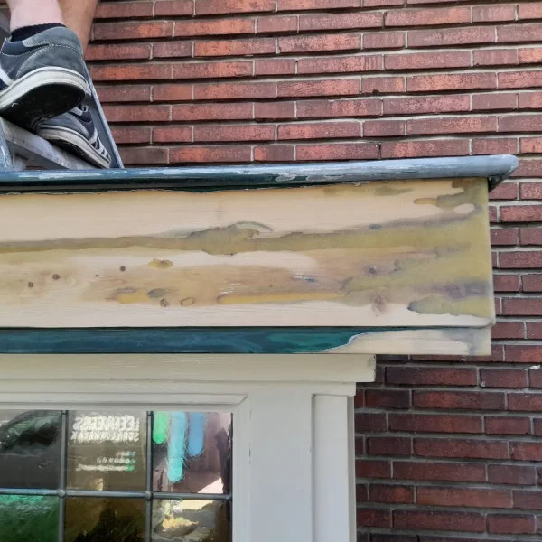 Afbeelding van WhatsApp op 2024-09-04 om 12.09.06_f7af6ccc